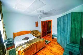 Гостевой дом Pensiunea Indra Sinaia Синая Двухместный номер с 1 кроватью и собственной ванной комнатой вне номера-1